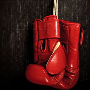 Meet your Posher, George